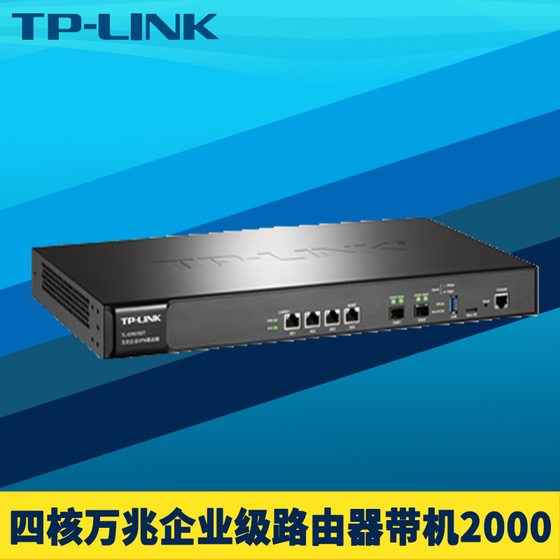 TP-LINK TL-ER6160T2SFP+ҵ·4ǧڶWANڵVLANΪDDNSǽԶ